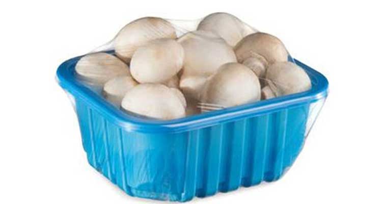 نایلون قارچ | نایلون بسته بندی قارچ | پلاستیک بسته بندی قارچ | پلاستیک قارچ | سلفون قارچ | سلفون مخصوص قارچ | سلفون بسته بندی قارچ | پلاستیک بسته بندی قارچ