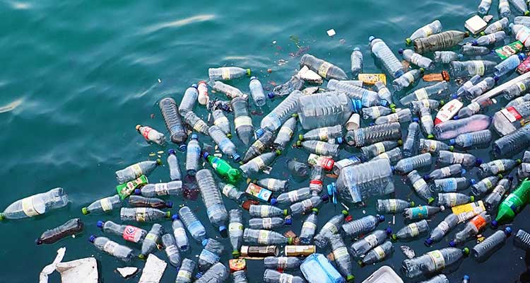 پلاستیک و محیط زیست